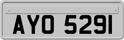 AYO5291