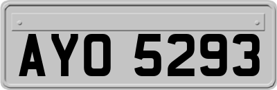 AYO5293
