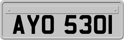 AYO5301