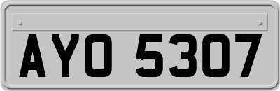 AYO5307