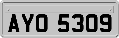 AYO5309