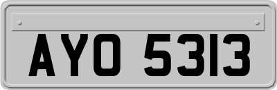AYO5313
