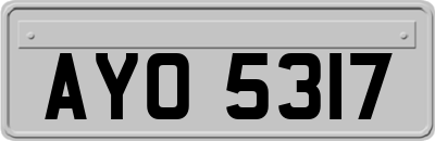 AYO5317