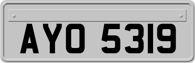 AYO5319