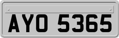 AYO5365