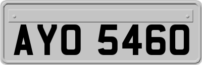 AYO5460