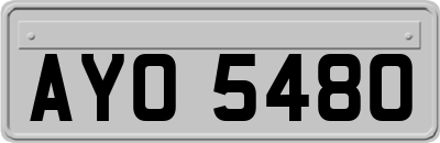 AYO5480