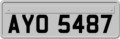 AYO5487