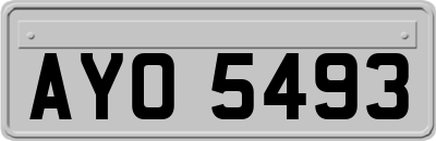 AYO5493