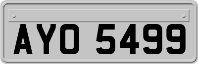 AYO5499