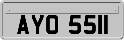 AYO5511