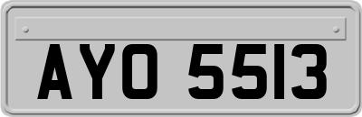 AYO5513