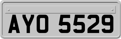 AYO5529