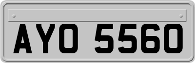AYO5560