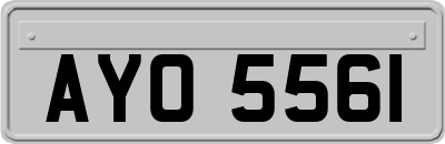 AYO5561