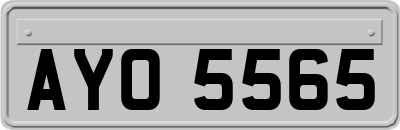 AYO5565