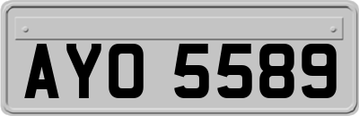 AYO5589