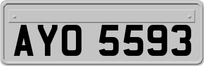 AYO5593