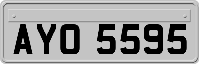 AYO5595
