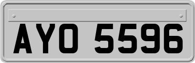 AYO5596