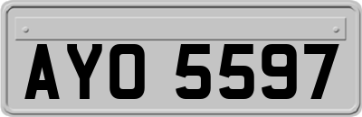 AYO5597
