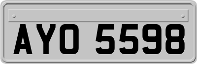 AYO5598