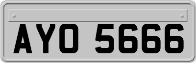 AYO5666