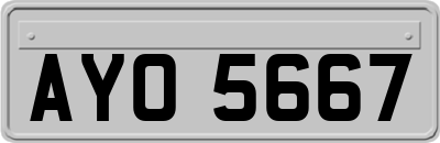 AYO5667