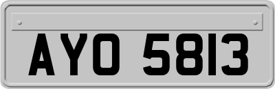 AYO5813