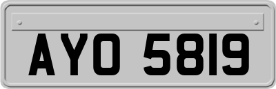 AYO5819