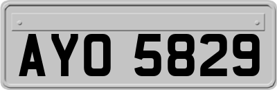 AYO5829