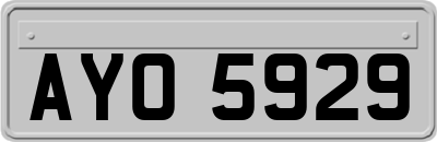 AYO5929