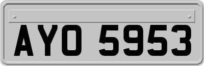 AYO5953