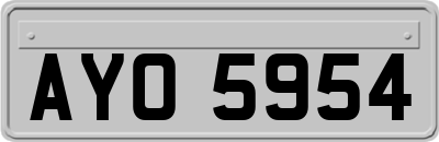 AYO5954