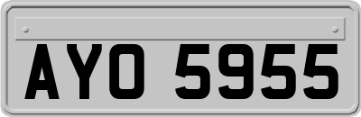 AYO5955