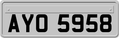 AYO5958