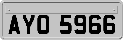 AYO5966