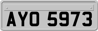 AYO5973