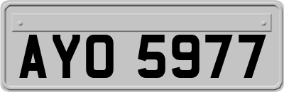 AYO5977