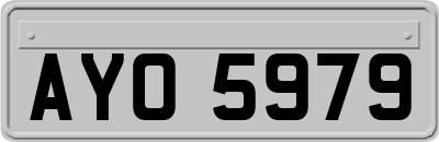 AYO5979