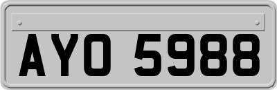 AYO5988