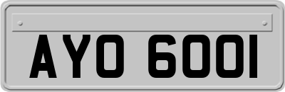 AYO6001