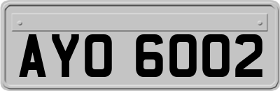 AYO6002