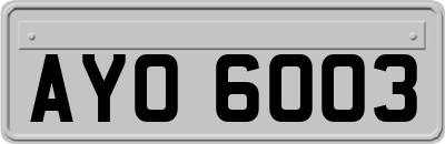 AYO6003