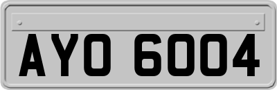 AYO6004
