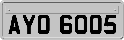 AYO6005