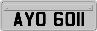 AYO6011