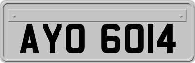AYO6014