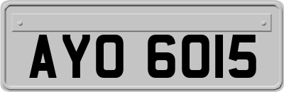 AYO6015