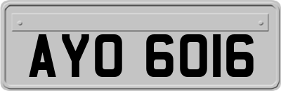 AYO6016